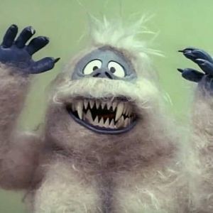 Meet your Posher, Jerry